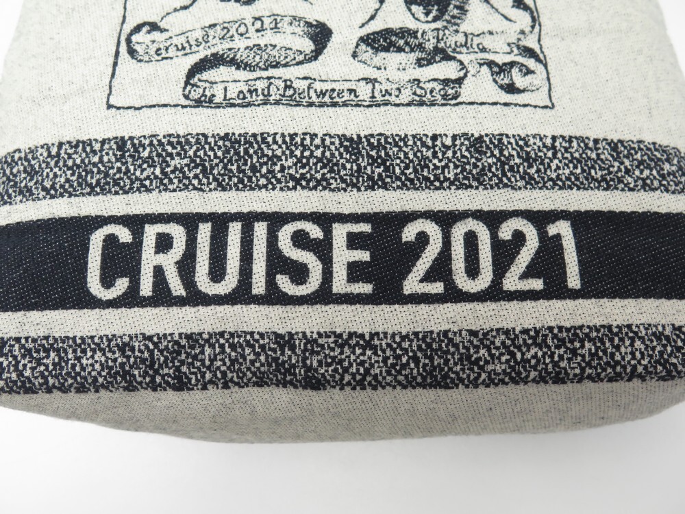 sac a main dior cabas vip cruise 2021 toile gris