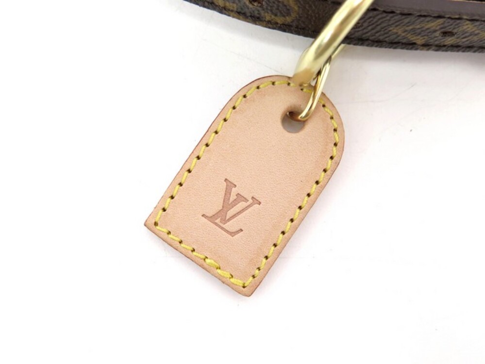 Collier Chien GM Louis Vuitton - LuxeForYou
