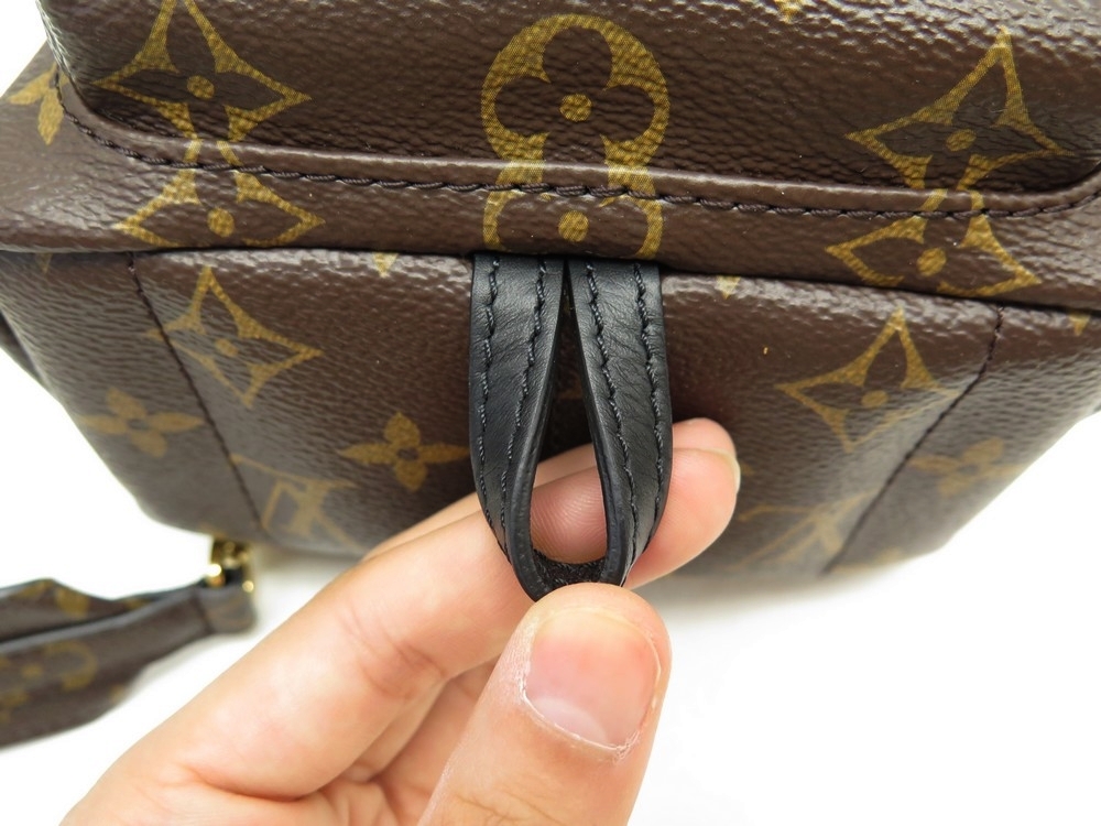 Louis Vuitton Monogram Reverse Palm Springs Mini Brown Cloth ref